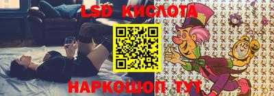 прущие грибы Будённовск