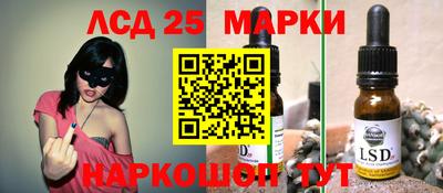 прущие грибы Будённовск