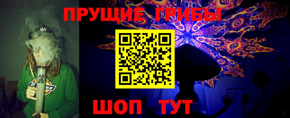 Алапаевск  Галлюциногенные грибы Psilocybe  Вход с VPN 